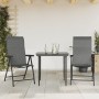 Sillas de jardín plegables 2 unidades ratán sintético gris de vidaXL, Sillas de jardín - Ref: Foro24-4007140, Precio: 132,31 ...