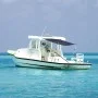 Markise T-Top Verlängerung in Marineblau 170x208x(115-183) cm von vidaXL, Aufbewahrungsabdeckungen für Boote - Ref: Foro24-94...