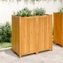 Jardinera con forro madera maciza de acacia 100x50x100 cm de vidaXL, Maceteros y jardineras - Ref: Foro24-366448, Precio: 200...