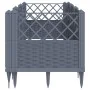 Jardinera con clavijas PP gris 123,5x43,5x43,5 cm de vidaXL, Maceteros y jardineras - Ref: Foro24-368019, Precio: 54,89 €, De...