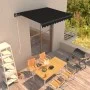 Toldo retráctil manual gris antracita 300x250 cm de vidaXL, Toldos - Ref: Foro24-3051237, Precio: 206,27 €, Descuento: %