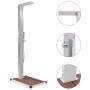 Ducha de jardín con plato acero inoxidable WPC de vidaXL, Accesorios para piscinas y spa - Ref: Foro24-3051289, Precio: 269,7...