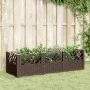 Jardinera con clavijas PP marrón 123,5x43,5x43,5 cm de vidaXL, Maceteros y jardineras - Ref: Foro24-368016, Precio: 54,87 €, ...