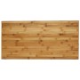 Mesa de centro de bambú 110x55x35 cm de vidaXL, Mesas de centro - Ref: Foro24-366470, Precio: 97,43 €, Descuento: %