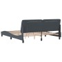 Estructura cama con luces LED terciopelo gris oscuro 180x200 cm de vidaXL, Camas y somieres - Ref: Foro24-3213868, Precio: 27...