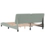 Estructura cama con luces LED terciopelo gris claro 160x200 cm de vidaXL, Camas y somieres - Ref: Foro24-3213861, Precio: 243...