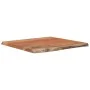 Tablero cuadrado madera maciza acacia borde vivo 60x60x2,5 cm de vidaXL, Tableros para mesas - Ref: Foro24-370618, Precio: 53...