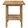 Mesa de centro de bambú 45x45x45 cm de vidaXL, Mesas de centro - Ref: Foro24-366471, Precio: 53,25 €, Descuento: %