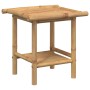 Mesa de centro de bambú 45x45x45 cm de vidaXL, Mesas de centro - Ref: Foro24-366471, Precio: 53,25 €, Descuento: %