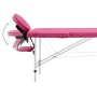 Camilla de masaje plegable 2 zonas aluminio rosa de vidaXL, Mesas de masaje - Ref: Foro24-110194, Precio: 173,65 €, Descuento: %