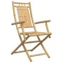 Sillas de jardín plegables 2 unidades bambú 53x66x99 cm de vidaXL, Sillas de jardín - Ref: Foro24-368038, Precio: 163,43 €, D...