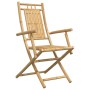 Sillas de jardín plegables 2 unidades bambú 53x66x99 cm de vidaXL, Sillas de jardín - Ref: Foro24-368038, Precio: 166,88 €, D...