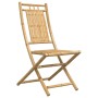 Sillas de jardín plegables 2 unidades bambú 46x66x99 cm de vidaXL, Sillas de jardín - Ref: Foro24-368037, Precio: 141,00 €, D...