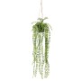 Emerald Ficus Pumila artificial colgante en maceta 60 cm de Emerald, Flora artificial - Ref: Foro24-431030, Precio: 15,50 €, ...