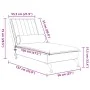 Sofá diván de masaje con cojín de terciopelo rosa de vidaXL, Divanes - Ref: Foro24-379462, Precio: 151,47 €, Descuento: %