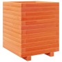 Jardinera madera maciza de pino marrón cera 40x40x49,5 cm de vidaXL, Maceteros y jardineras - Ref: Foro24-3282511, Precio: 11...