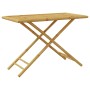 Mesa de jardín plegable de bambú 110x55x75 cm de vidaXL, Mesas de jardín - Ref: Foro24-365879, Precio: 86,85 €, Descuento: %