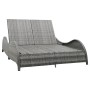 Tumbona doble con cojín ratán sintético gris antracita de vidaXL, Camas para exteriores - Ref: Foro24-49495, Precio: 377,98 €...