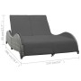Tumbona doble con cojín ratán sintético gris antracita de vidaXL, Camas para exteriores - Ref: Foro24-49495, Precio: 377,98 €...