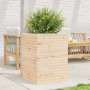 Jardinera de madera maciza de pino 50x50x68,5 cm de vidaXL, Maceteros y jardineras - Ref: Foro24-3282464, Precio: 145,38 €, D...