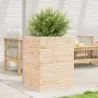 Jardinera de madera maciza de pino 50x50x68,5 cm de vidaXL, Maceteros y jardineras - Ref: Foro24-3282464, Precio: 143,57 €, D...