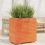 Jardinera madera maciza de pino marrón cera 70x40x72 cm de vidaXL, Maceteros y jardineras - Ref: Foro24-3282631, Precio: 200,...