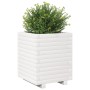 Jardinera madera maciza de pino blanco 40x40x49,5 cm de vidaXL, Maceteros y jardineras - Ref: Foro24-3282510, Precio: 112,06 ...