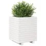 Jardinera madera maciza de pino blanco 40x40x49,5 cm de vidaXL, Maceteros y jardineras - Ref: Foro24-3282510, Precio: 110,63 ...