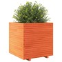 Jardinera madera maciza de pino marrón cera 70x70x72 cm de vidaXL, Maceteros y jardineras - Ref: Foro24-3282621, Precio: 257,...