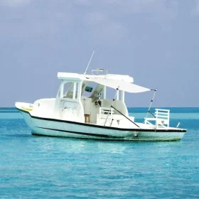 Markise T-Top Verlängerung weiß 170x170x(115-183) cm von vidaXL, Aufbewahrungsabdeckungen für Boote - Ref: Foro24-94862, Prei...