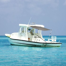 Toldo T-Top extensión gris antracita 170x170x(115-183) cm de vidaXL, Cubiertas para almacenamiento de barcas - Ref: Foro24-94...