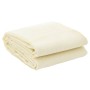 Alfombrilla de camping crema 4x2,5 m de vidaXL, Accesorios para tiendas de campaña - Ref: Foro24-4008498, Precio: 35,47 €, De...