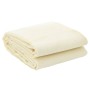 Alfombrilla de camping crema 6x2,5 m de vidaXL, Accesorios para tiendas de campaña - Ref: Foro24-4008502, Precio: 46,50 €, De...