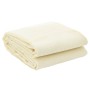 Alfombrilla de camping crema 4x2 m de vidaXL, Accesorios para tiendas de campaña - Ref: Foro24-4008494, Precio: 28,51 €, Desc...