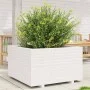 Jardinera madera maciza de pino blanco 80x80x49,5 cm de vidaXL, Maceteros y jardineras - Ref: Foro24-3282530, Precio: 209,09 ...