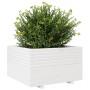 Jardinera madera maciza de pino blanco 80x80x49,5 cm de vidaXL, Maceteros y jardineras - Ref: Foro24-3282530, Precio: 211,80 ...