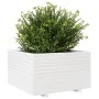 Jardinera madera maciza de pino blanco 80x80x49,5 cm de vidaXL, Maceteros y jardineras - Ref: Foro24-3282530, Precio: 209,09 ...