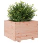 Jardinera madera maciza de abeto Douglas 70x70x49,5 cm de vidaXL, Maceteros y jardineras - Ref: Foro24-3282527, Precio: 163,6...