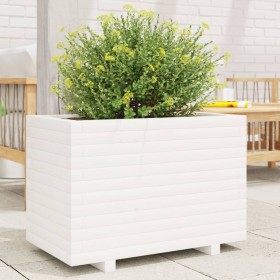 Jardinera madera maciza de pino blanco 70x40x49,5 cm de vidaXL, Maceteros y jardineras - Ref: Foro24-3282550, Precio: 147,87 ...