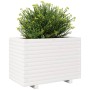 Jardinera madera maciza de pino blanco 70x40x49,5 cm de vidaXL, Maceteros y jardineras - Ref: Foro24-3282550, Precio: 147,87 ...