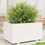 Jardinera madera maciza de pino blanco 90x60x49,5 cm de vidaXL, Maceteros y jardineras - Ref: Foro24-3282565, Precio: 199,84 ...