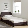Cama con colchón tela marrón oscuro 100x200 cm de vidaXL, Camas y somieres - Ref: Foro24-3208347, Precio: 238,47 €, Descuento: %