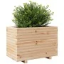 Jardinera madera maciza de pino 70x40x49,5 cm de vidaXL, Maceteros y jardineras - Ref: Foro24-3282549, Precio: 121,93 €, Desc...