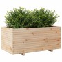 Jardinera madera maciza de pino 110x60x49,5 cm de vidaXL, Maceteros y jardineras - Ref: Foro24-3282569, Precio: 188,75 €, Des...