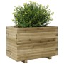 Jardinera madera de pino impregnada 70x40x49,5 cm de vidaXL, Maceteros y jardineras - Ref: Foro24-3282553, Precio: 132,25 €, ...