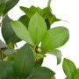 Planta artificial árbol de laurel con macetero 90 cm verde de vidaXL, Flora artificial - Ref: Foro24-280178, Precio: 57,89 €,...