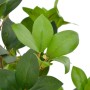 Planta artificial árbol de laurel con macetero 90 cm verde de vidaXL, Flora artificial - Ref: Foro24-280178, Precio: 61,19 €,...