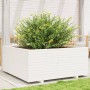 Jardinera madera maciza de pino blanco 110x110x49,5 cm de vidaXL, Maceteros y jardineras - Ref: Foro24-3282545, Precio: 297,1...