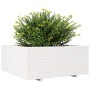 Jardinera madera maciza de pino blanco 110x110x49,5 cm de vidaXL, Maceteros y jardineras - Ref: Foro24-3282545, Precio: 297,1...