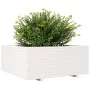 Jardinera madera maciza de pino blanco 110x110x49,5 cm de vidaXL, Maceteros y jardineras - Ref: Foro24-3282545, Precio: 293,3...